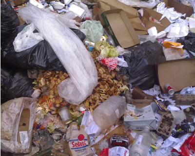 rubbish_090313b