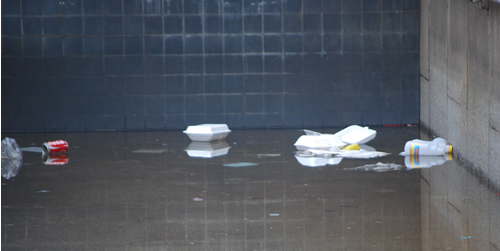 litter-in-the-national-gallery-pond