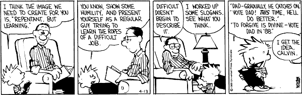 calvin and hobbes - voting