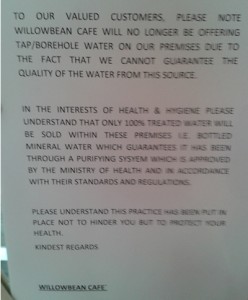 willowbean_water_131008